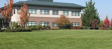 Lawn Care & Maintenance