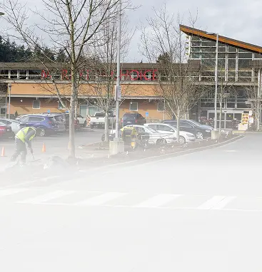 Commercial Landscaping