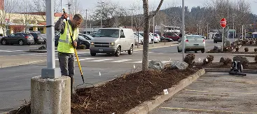 Landscape Installation