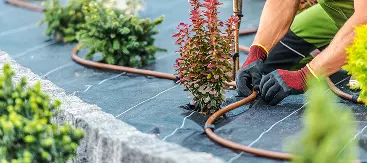 Irrigation Installation