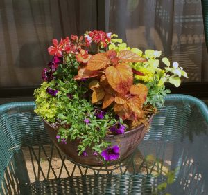 Container_2