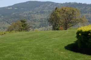 Lawn-Mowing-Services-in-Eugene