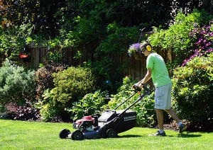 Mowing_1resized