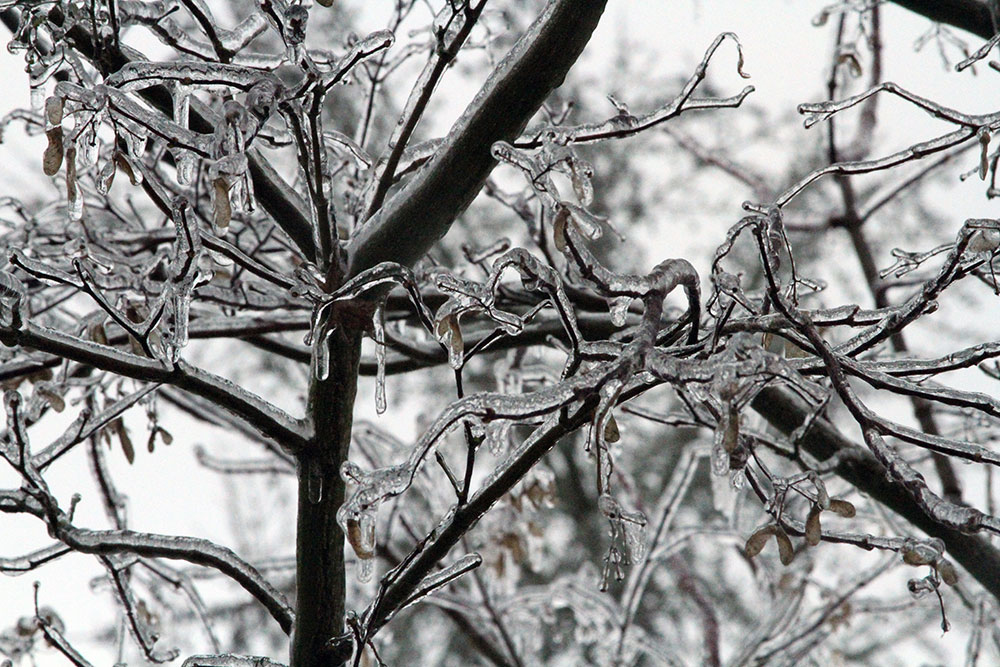 Winterize Sprinkler System