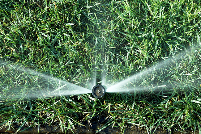 Sprinkler5