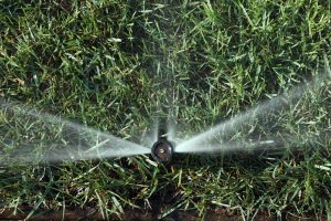 Lawn Mowing Services in Eugene